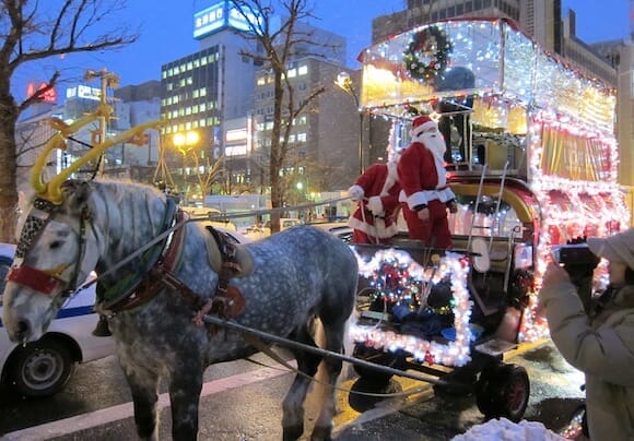 札幌の名物「札幌観光幌馬車」