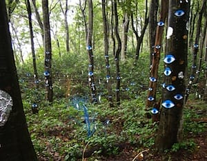 3838725594_3901120eef_b