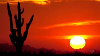 Landscapes Volume Two