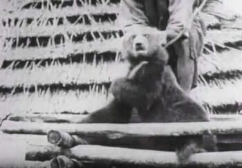 Beautiful Japan「熊送り」