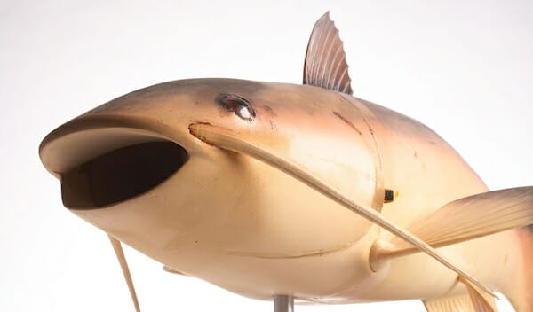 Robot Fish "Charlie" / CIA