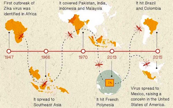 Zika Virus - Infographic / DaSantosh