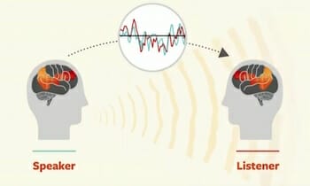 Uri Hasson: This is your brain on communication