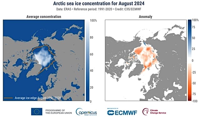 arctic sea ice