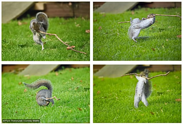 Dancing To The Music, Rock guitar, Roly Poly, Weight Lifting