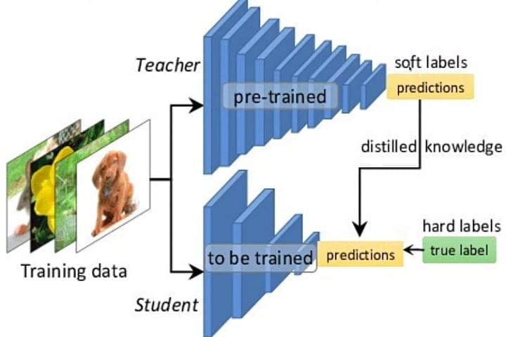 Knowledge Distillation