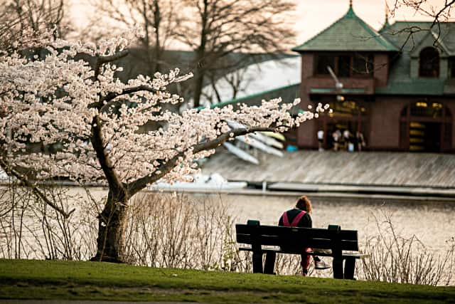 Harvard University 20230328