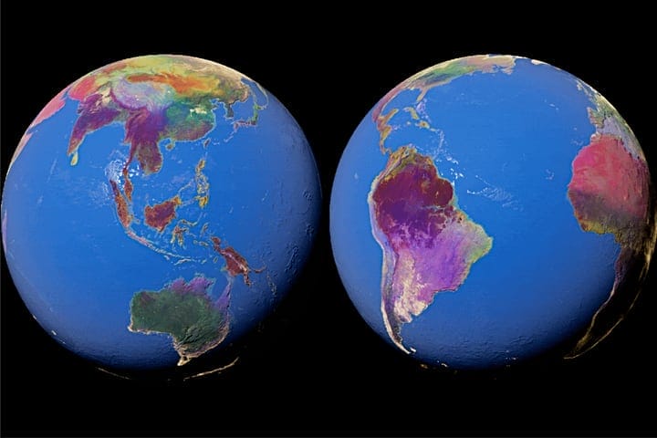 AlphaEarth Foundations model