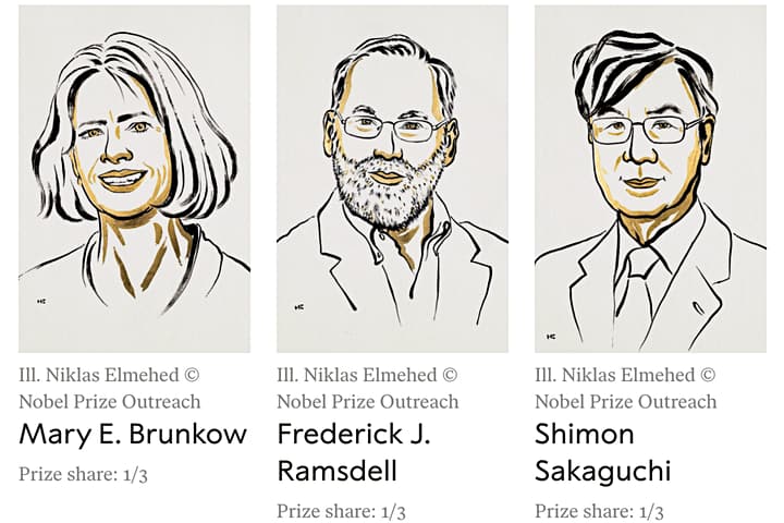 Physiology or Medicine 2025