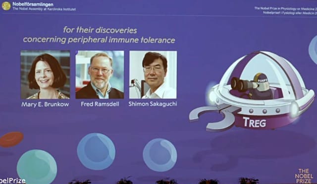 Announcement of the 2025 Nobel Prize in Physiology or Medicine