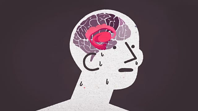 What happens to your brain without any social contact?