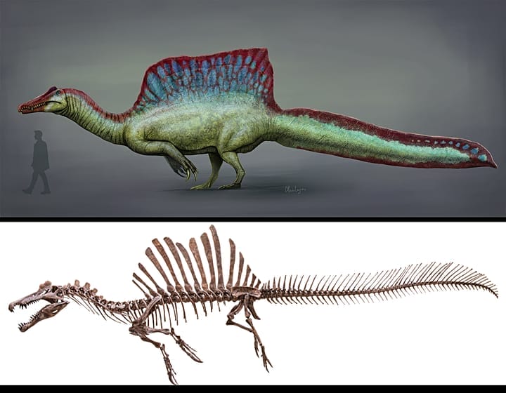 大英博物館で春画の価値と魅力を再評価、特別展開催 – Nobuyuki Kokai