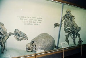 harvard-museum-4