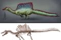 Spinosaurus_2020